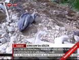 Giresun'da Göçük