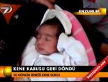 Kene kabusu geri döndü