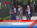 darica hayvanat bahcesi - Darıca Hayvanat Bahçesi Videosu
