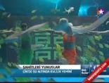 Şahitleri Yunuslar