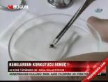Kenelerden Korkutucu Sonuç!