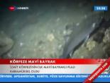 Körfeze Mavi Bayrak