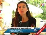 Dondurmada Şekere Dikkat