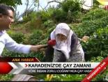 cay uretimi - Karadeniz'de Çay Zamanı Videosu