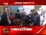 Çiçek pes etti