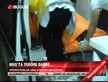 teror operasyonu - Muş'ta teröre darbe... Videosu