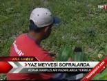 Yaz Meyvesi Sofralarda