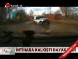intihar - İntihara kalkıştı dayak yedi Videosu