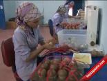 fabrika - 11 Ayın Sultanı Ramazan Yaklaşıyor Videosu