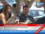 Rumların Ümidi Doğalgaz