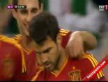 euro 2012 - Euro 2012 İrlanda 0-4 İspanya Gol: Fabregas Videosu