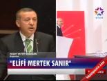 'Elifi Mertek Sanır' online video izle