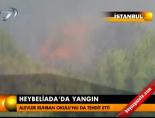 heybeliada - Heybeliada'da yangın Videosu