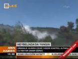 heybeliada - Heybeliada'da yangın Videosu