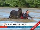 Atlar Sele Kapıldı