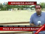 polis atlari - İnsana da Bulaşabiliyor Videosu