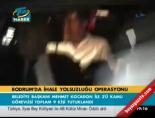 Bodrum'da ihale yolsuzluğu operasyonu online video izle