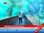 dev akvaryum - Ankara'nın Okyanusu Videosu