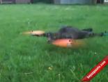 Kedisinden Helikopter Yaptı
