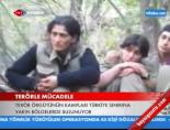 Terörle Mücadele