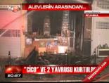 Alevlerin arasından...