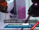 Banyoda Yılan Paniği