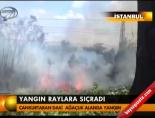 İstanbul'da orman yangını