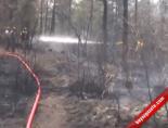 İstanbul Beykoz’da Orman Yangını