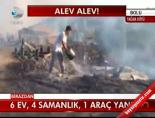 Alev Alev!