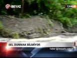 Sel Durmak Bilmiyor