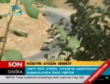Van'da çatışma