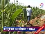Foça'da 3 Günde 3 Olay