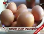 yumurta sarisi - Yumurta sigara kadar tehlikeli mi? Videosu