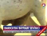 darica hayvanat bahcesi - Darıca'da Bayram Sevinci Videosu