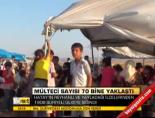 suriyeli multeciler - Mülteci sayısı 70 bine yaklaştı Videosu