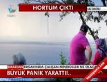 Hortum paniği