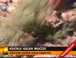 Kekikle gelen mucize