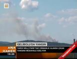 Gelibolu'da yangın online video izle