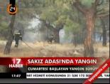 sakiz adasi - Sakız Adası'nda yangın Videosu