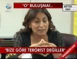 gultan kisanak - BDP: Bize göre terörist değiller Videosu