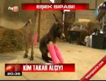 Kim takar alçıyı