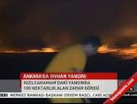 Ankara'da orman yangını