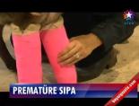 Prematüre Sıpa