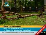 Çin'de tayfun alarmı