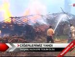 Çigerlerimiz Yandı online video izle