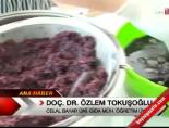 Doğal Katkılı Dondurma