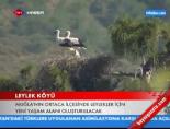 leylek koyu - Leylek Köyü Videosu