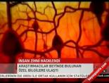 İnsan Zihni Hacklendi