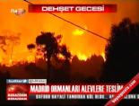 Madrid Ormanları Ateşe Teslim online video izle