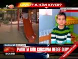 Parkta Kör Kurşuna Hedef Oldu online video izle